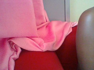 Harujuku's Live Webcam