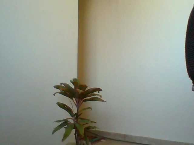 Harujuku live cam on BongaCams