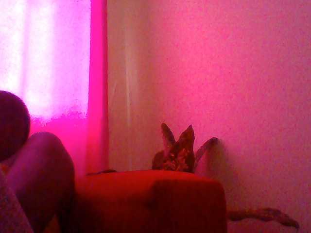 Red_ruby3