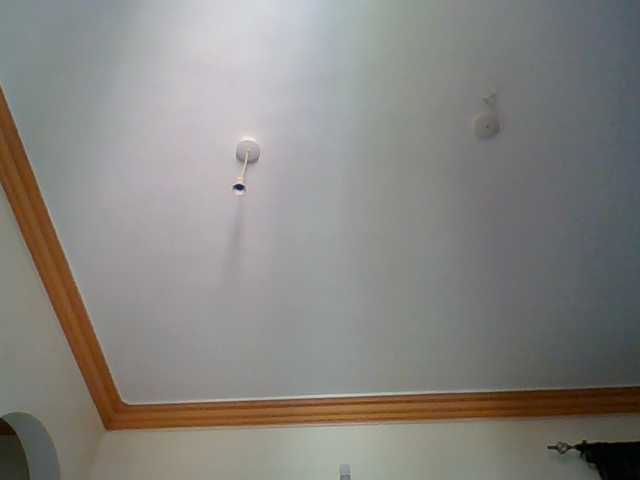 Red_ruby3 live cam preview