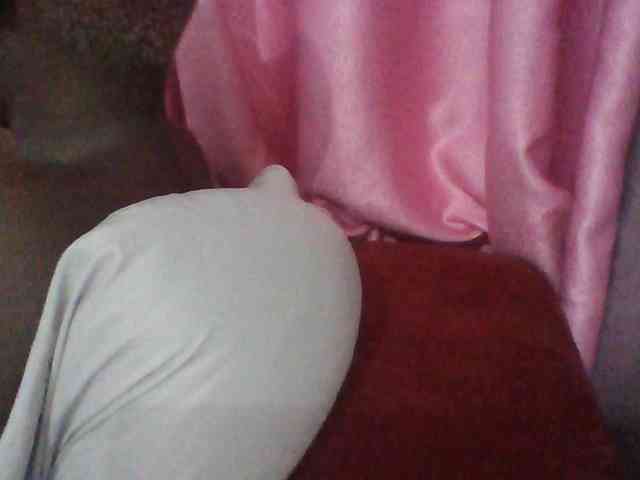 Harujuku webcam