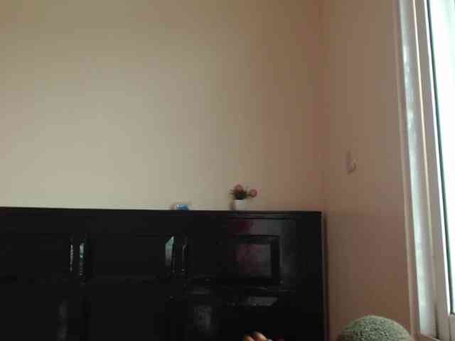 Harujuku webcam