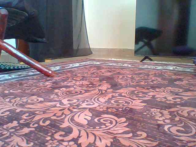 Harujuku webcam