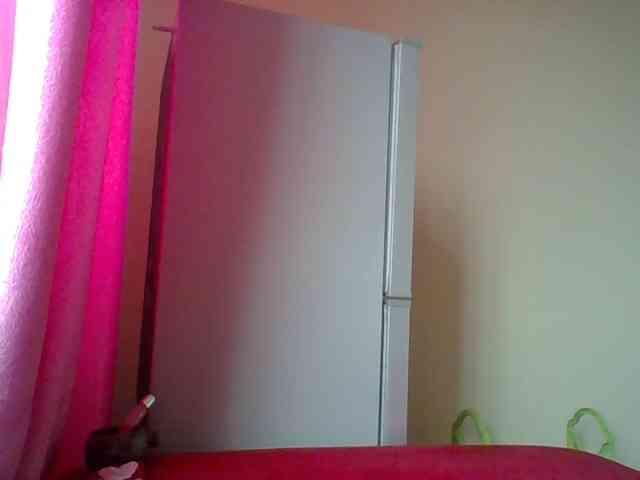 Harujuku webcam