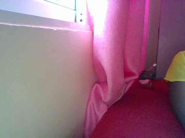 Harujuku webcam