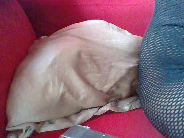Harujuku webcam