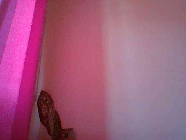 Red_ruby3