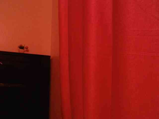 Harujuku webcam