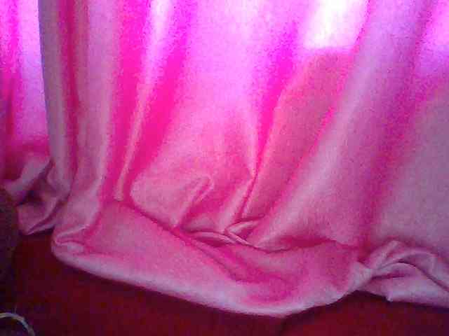 Harujuku webcam