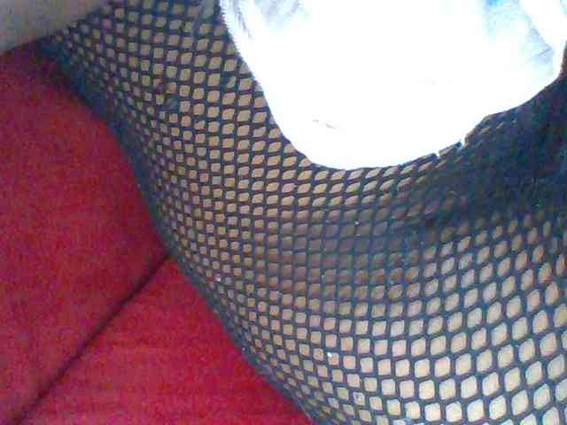 Harujuku webcam