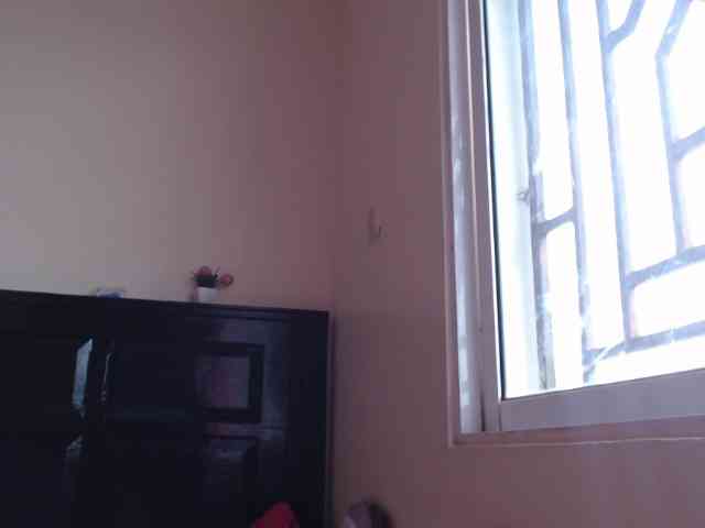 harujuku's live room