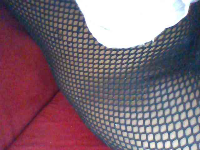 Harujuku webcam