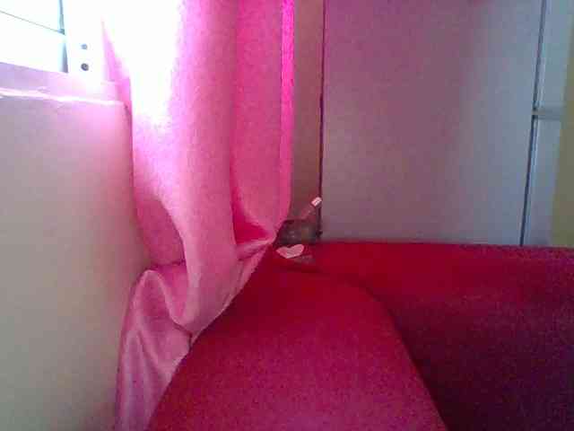 Harujuku webcam