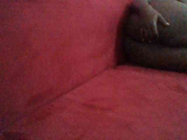 Harujuku webcam