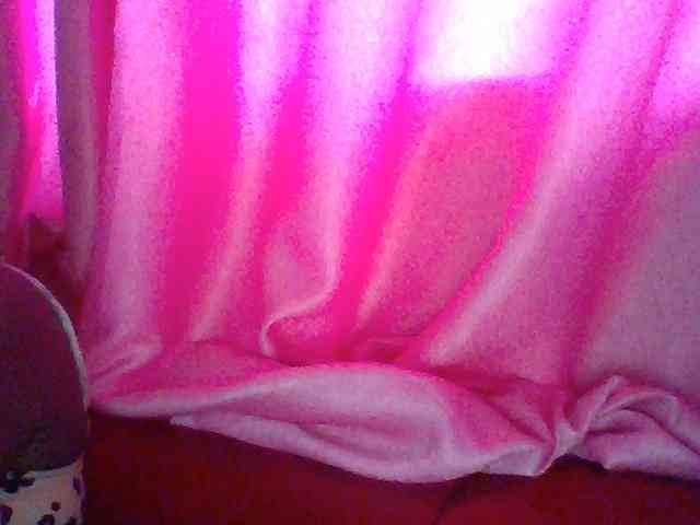 Harujuku webcam