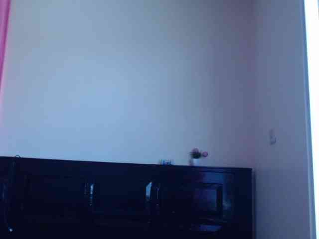 Harujuku webcam