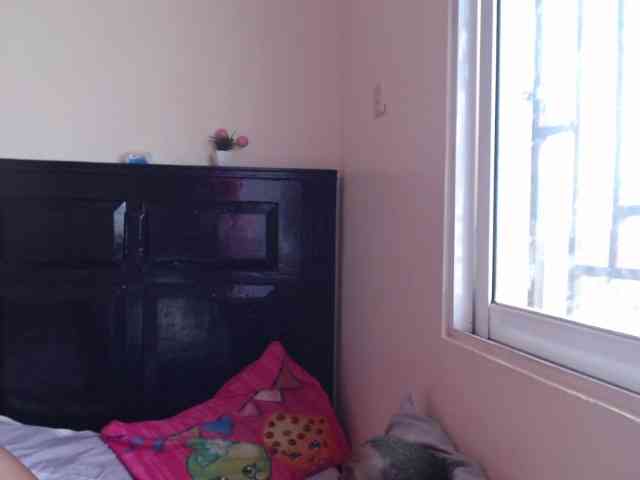 Harujuku webcam