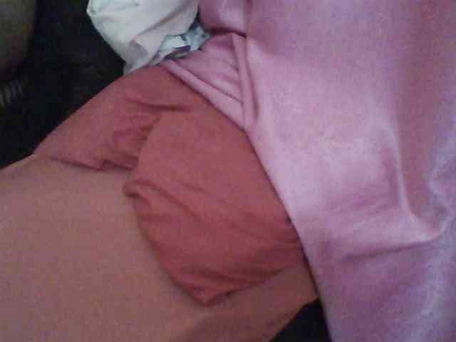 Harujuku webcam