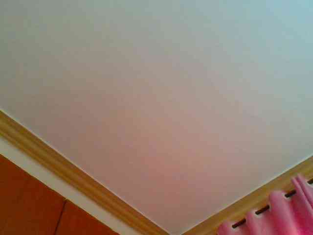 Harujuku webcam