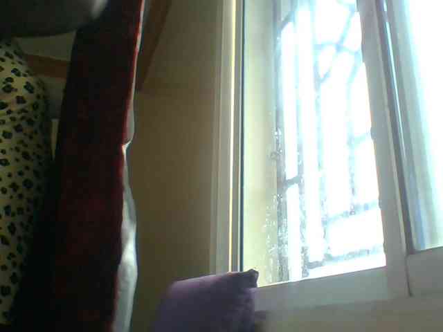 Harujuku webcam