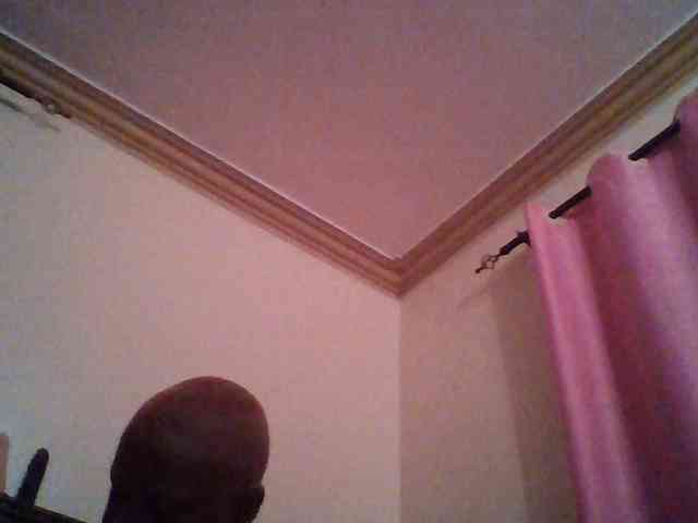 Harujuku webcam