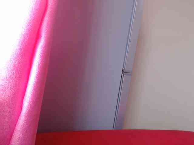 Harujuku webcam