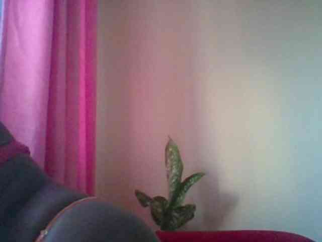 Red_ruby3 webcam