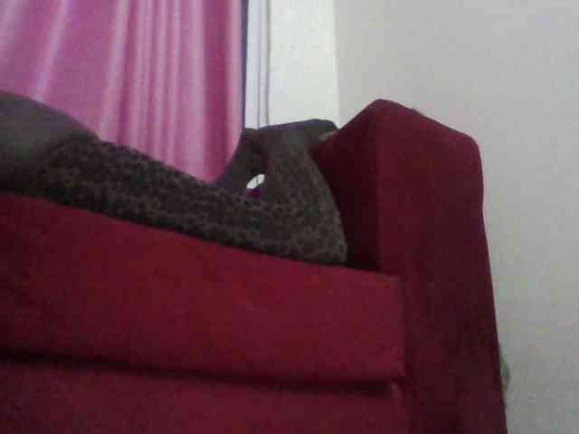 Harujuku Harujuku