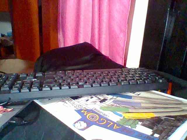 Harujuku webcam