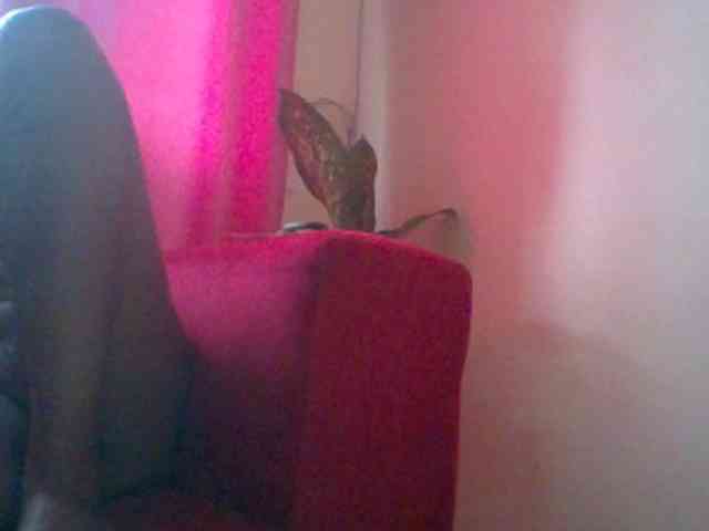 Red_ruby3