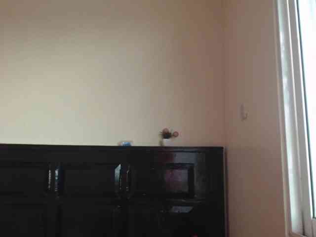 Harujuku webcam