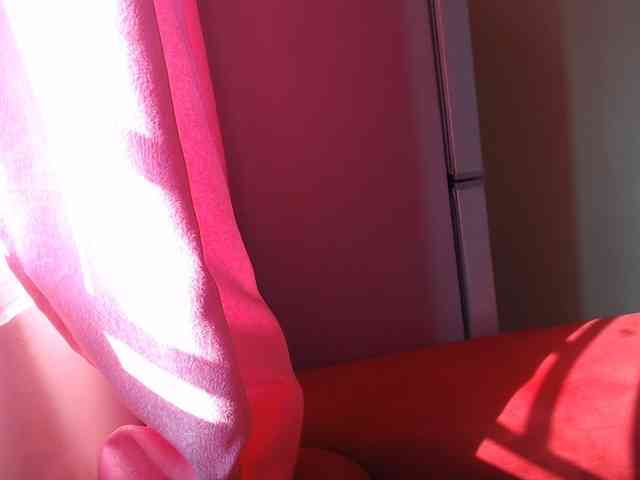 Harujuku webcam