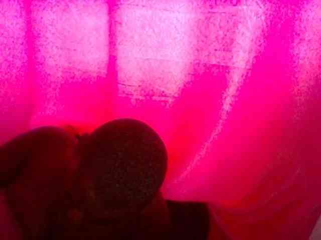 Harujuku webcam