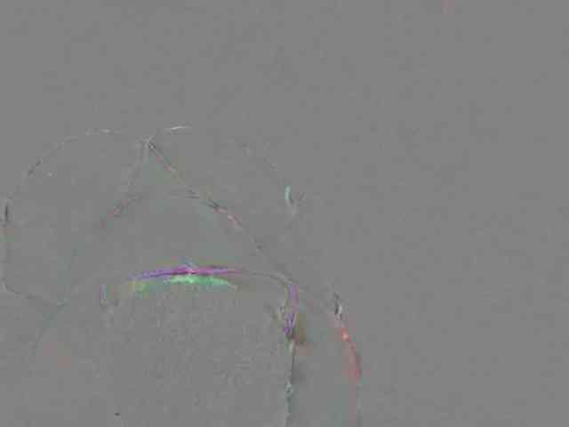 Harujuku webcam