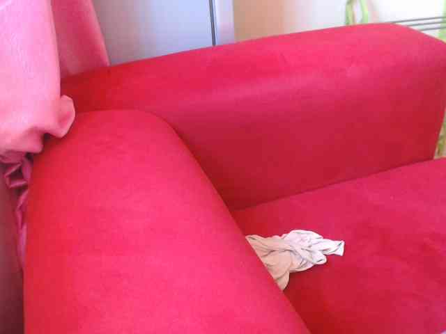 Harujuku webcam