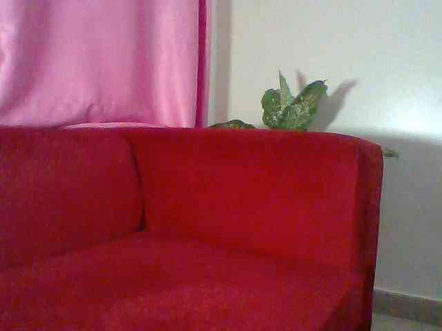 Red_ruby3 webcam