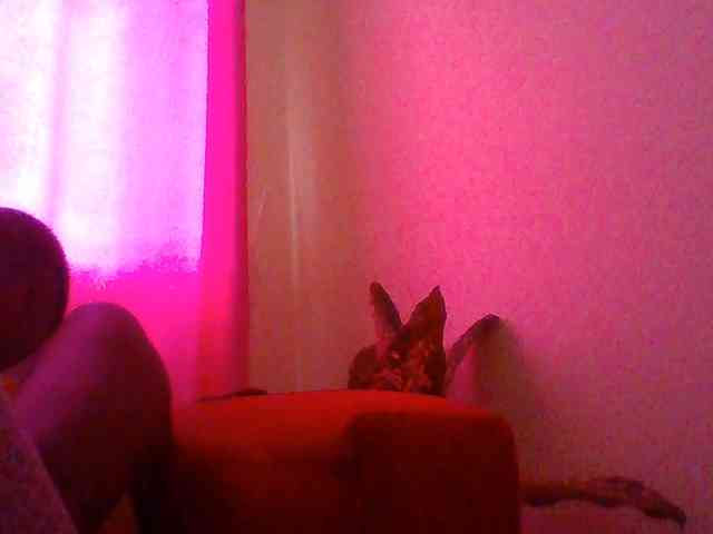 Red_ruby3