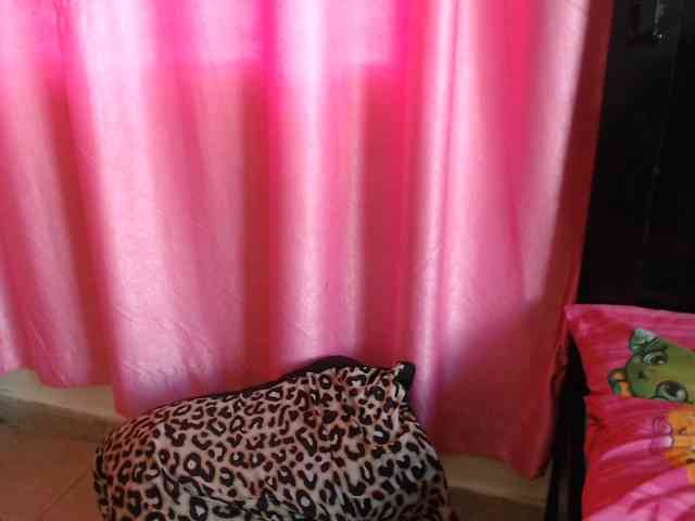 Harujuku webcam