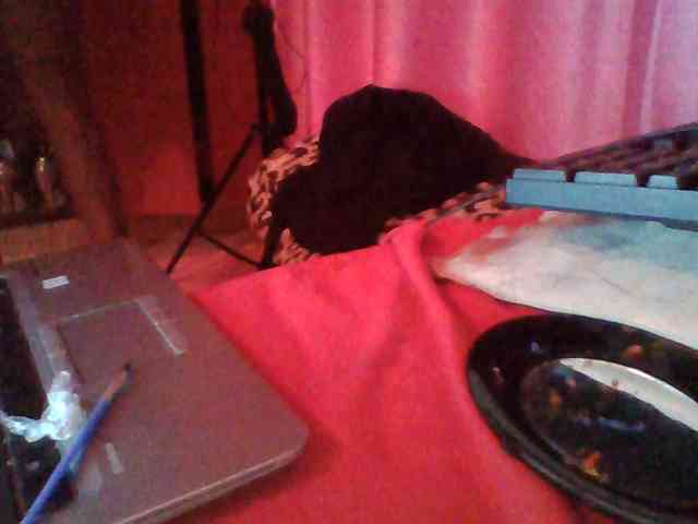 Harujuku webcam