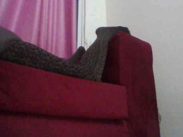 Red_ruby3 webcam