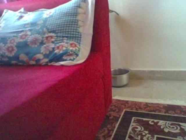 Red_ruby3 webcam