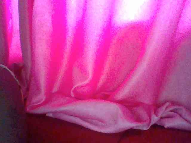 Harujuku webcam