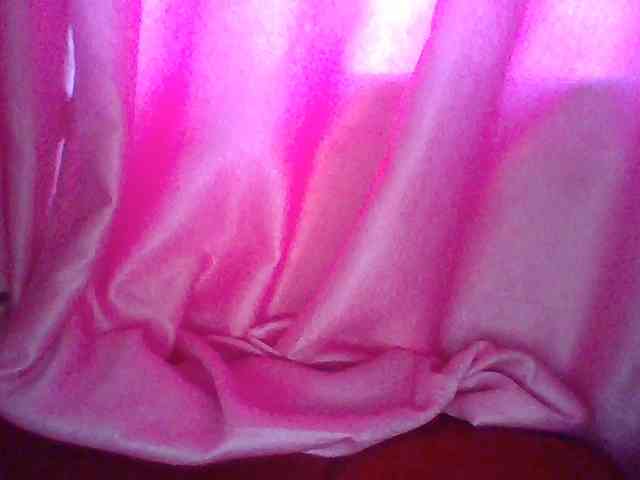 Harujuku webcam