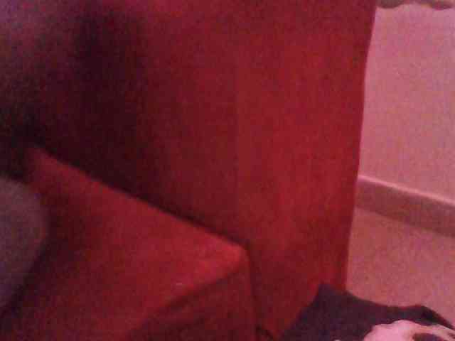 Red_ruby3 webcam