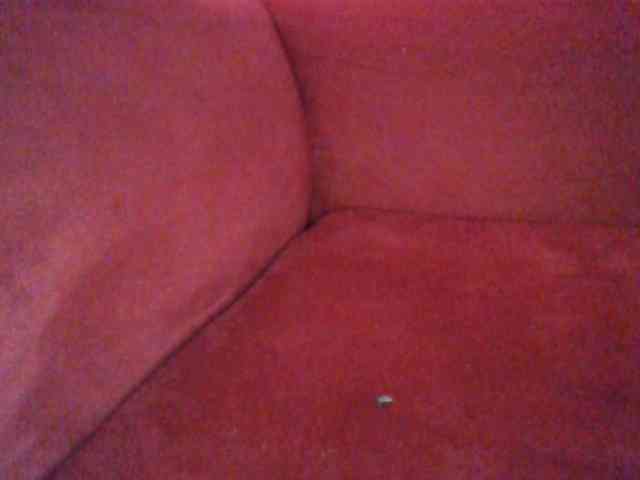 Red_ruby3 webcam