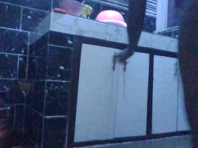 Harujuku webcam