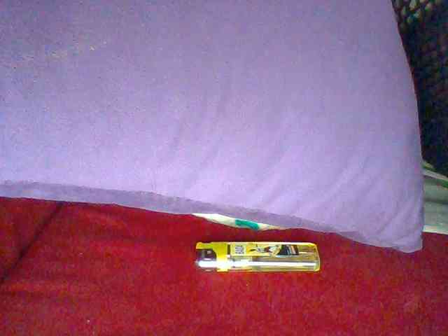Harujuku webcam