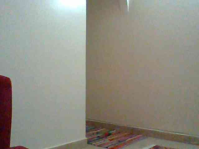 Harujuku webcam