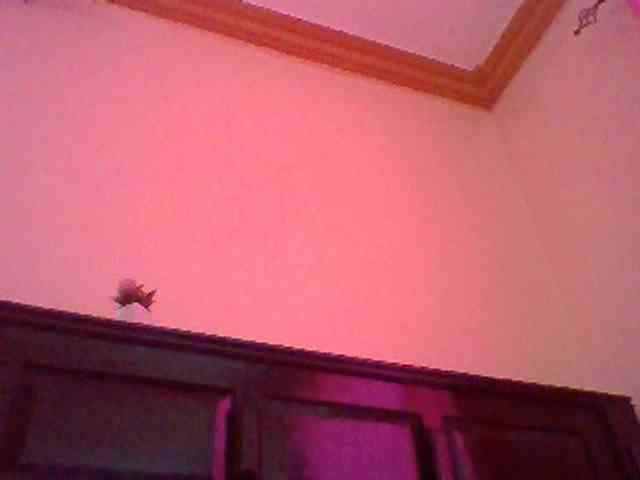 red_ruby3's live room