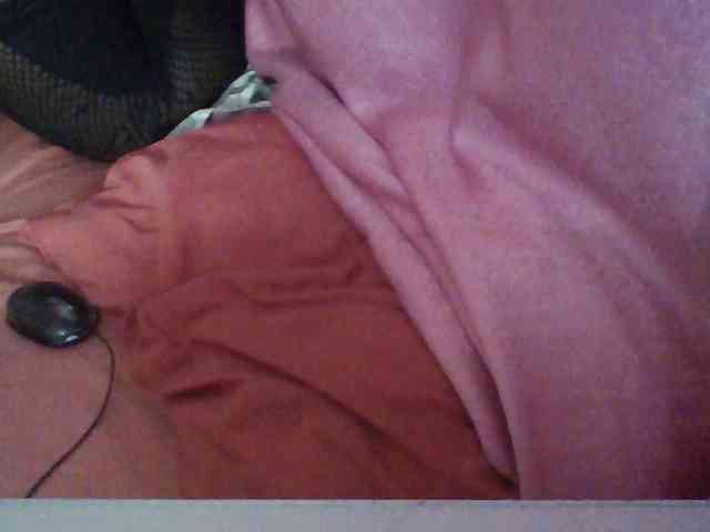 Harujuku webcam